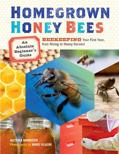 Homegrown Honey Bees: An Absolute Beginner's Guide
