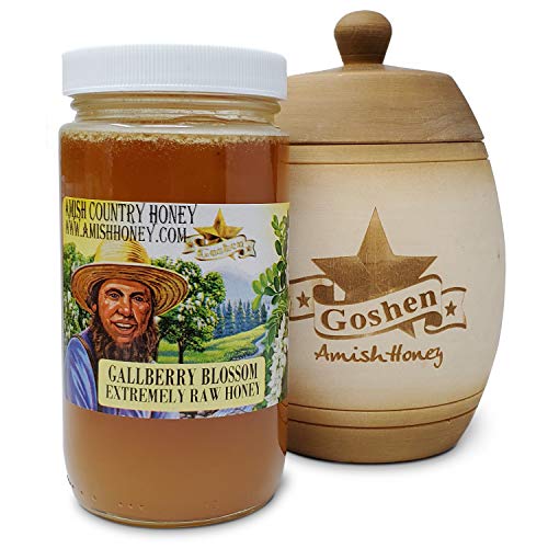 Goshen Honey Amish Extremely Raw GALLBERRY Honey
