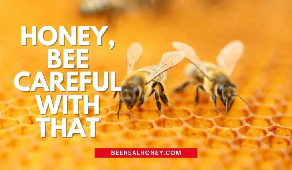 Bee Mottos and Slogans, Quotes and Sayings - Bee Real Honey