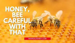honey bee quotes