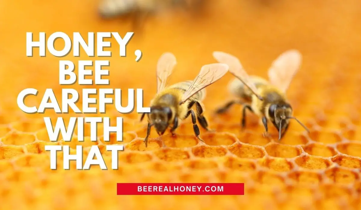 Bee Mottos And Slogans, Quotes And Sayings - Bee Real Honey