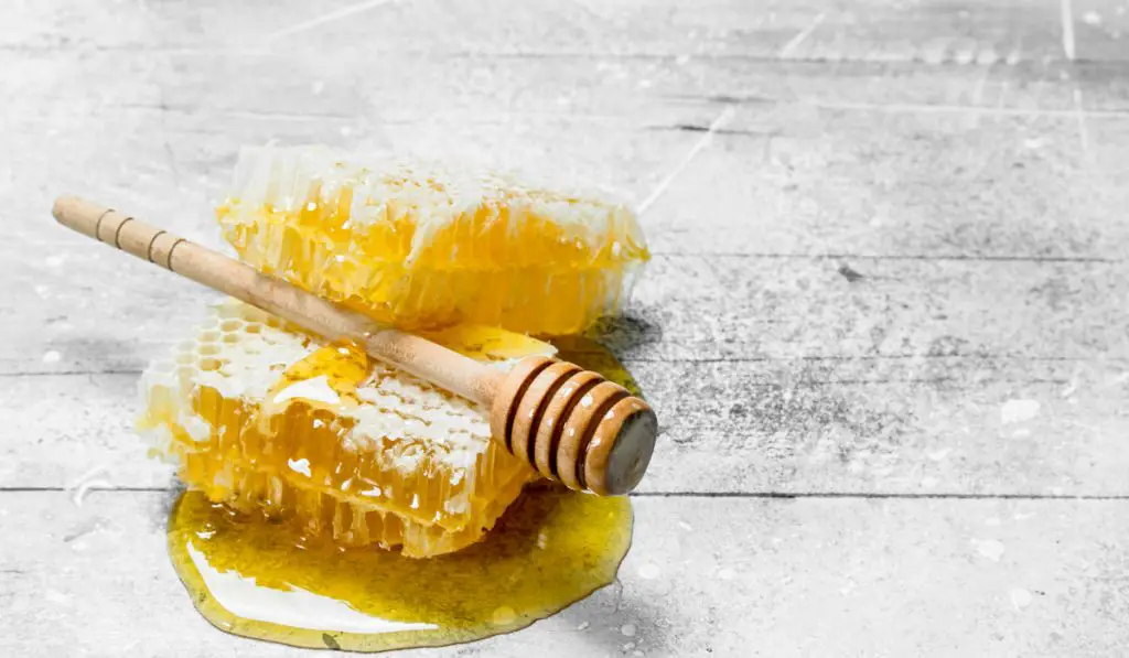 Natural honey in honeycombs with wooden spoons.
