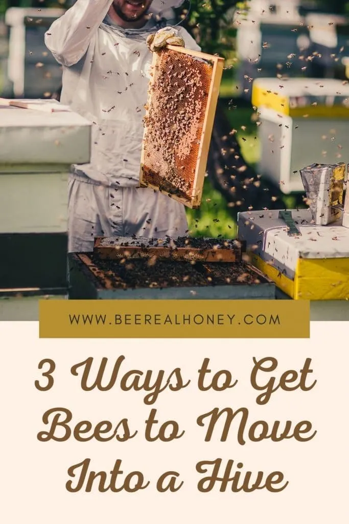 Pinterest pin, 3 Ways to Get Bees to Move Into a Hive