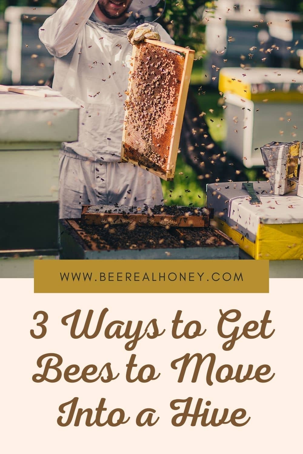 how to move bees into a new hive minecraft