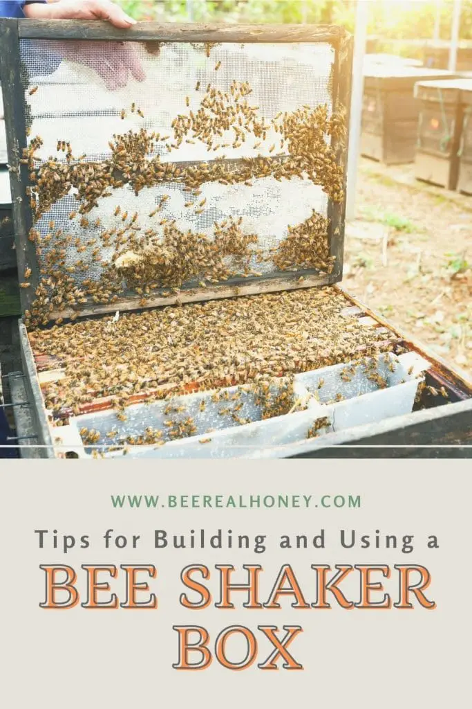 Pinterest pin, Bee Shaker Box Building Tips