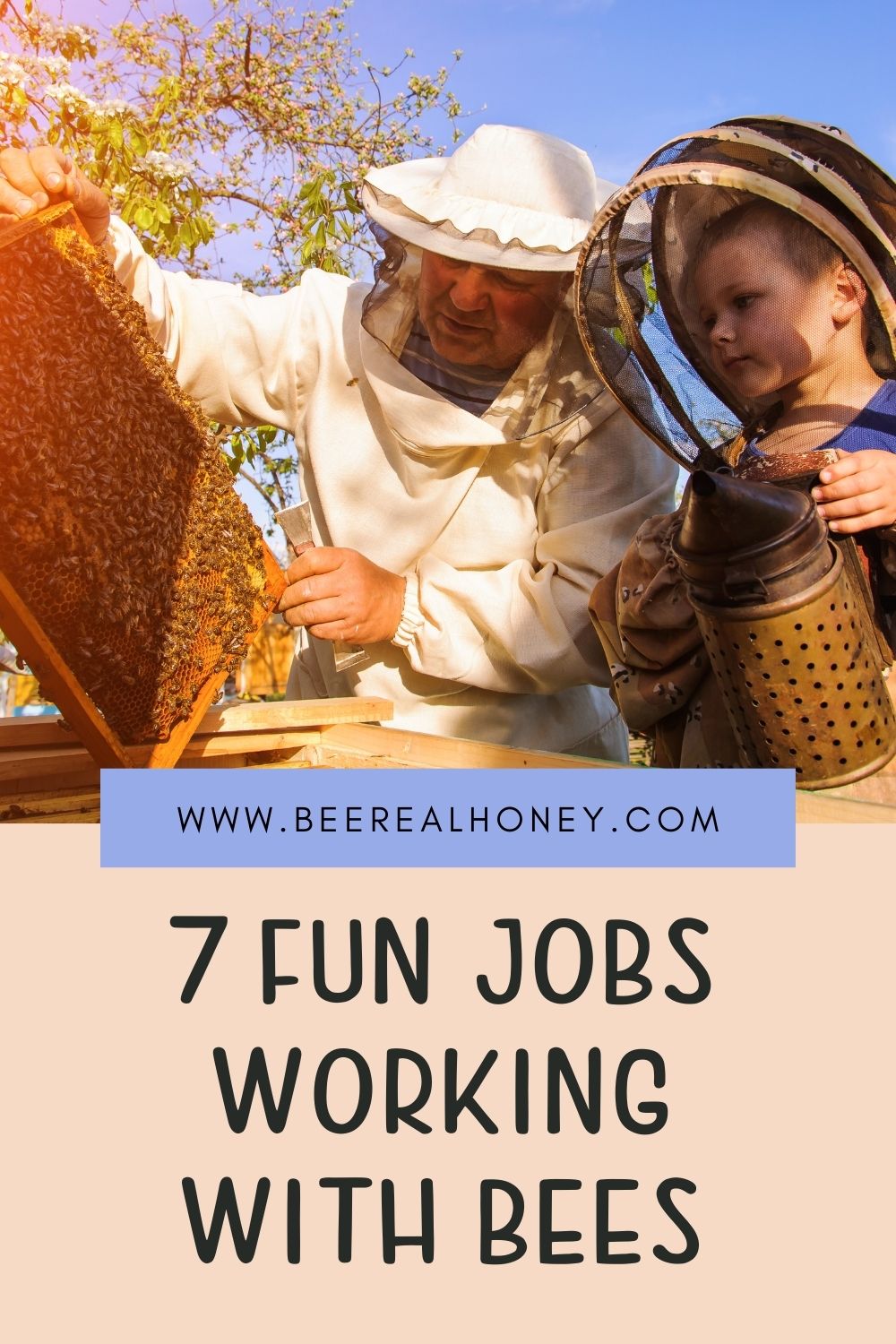7 Fun Jobs Working With Bees (With Salaries) Bee Real Honey