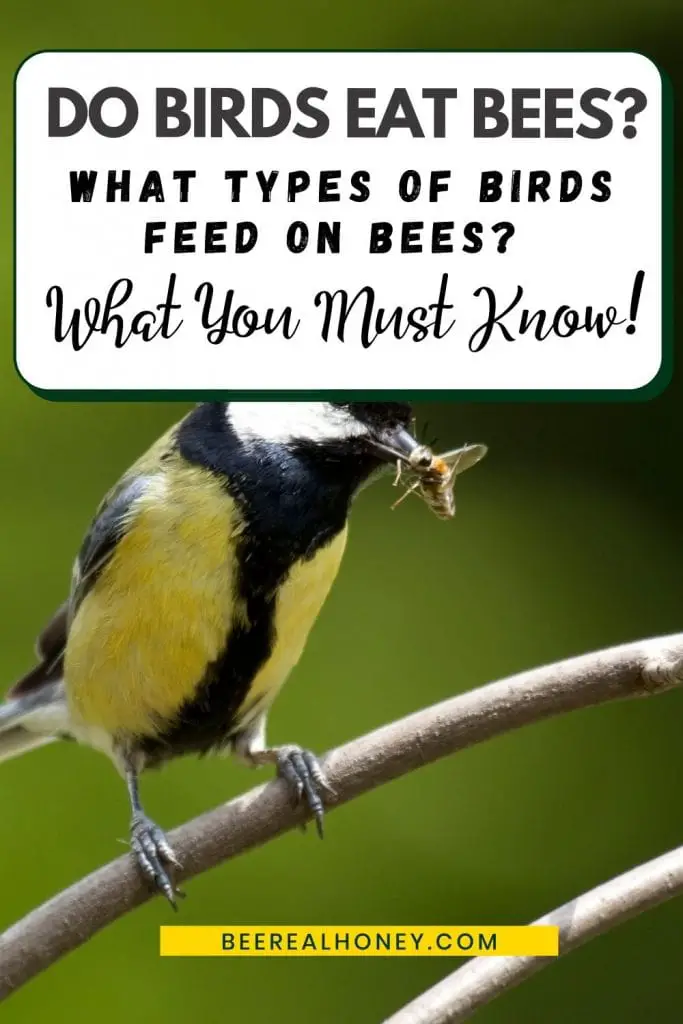Pinterest pin, what birds eat bees