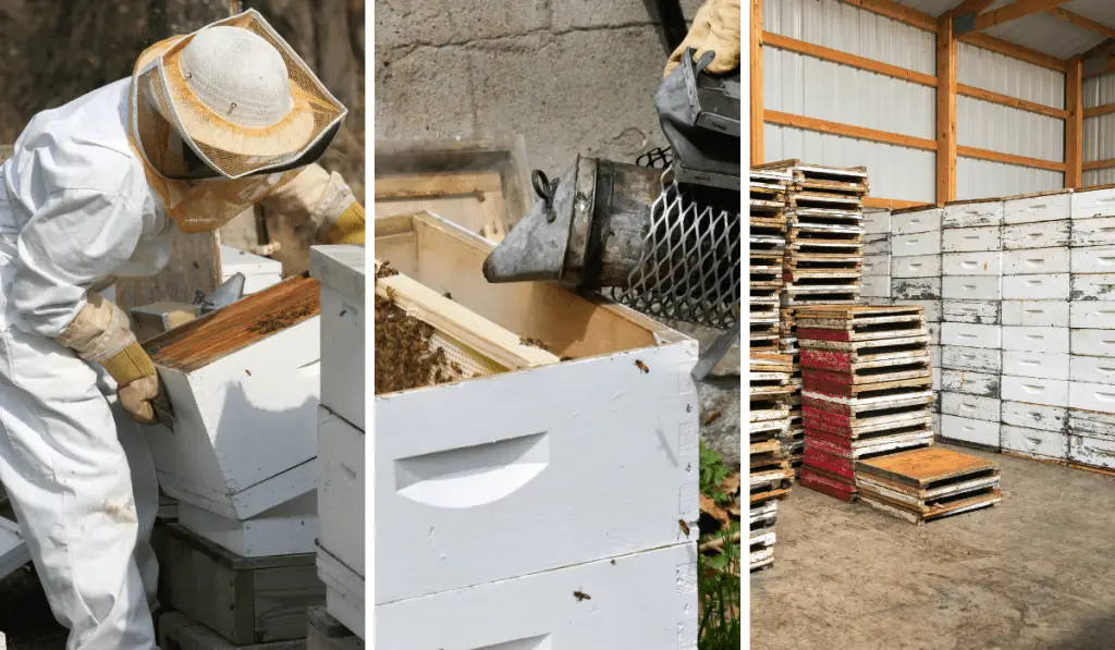 collage of different equipment for beekeeping