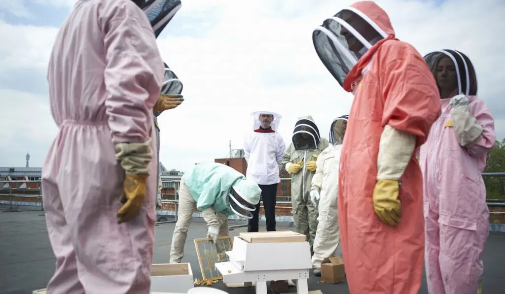 beekeepers and researchers inspecting beehive