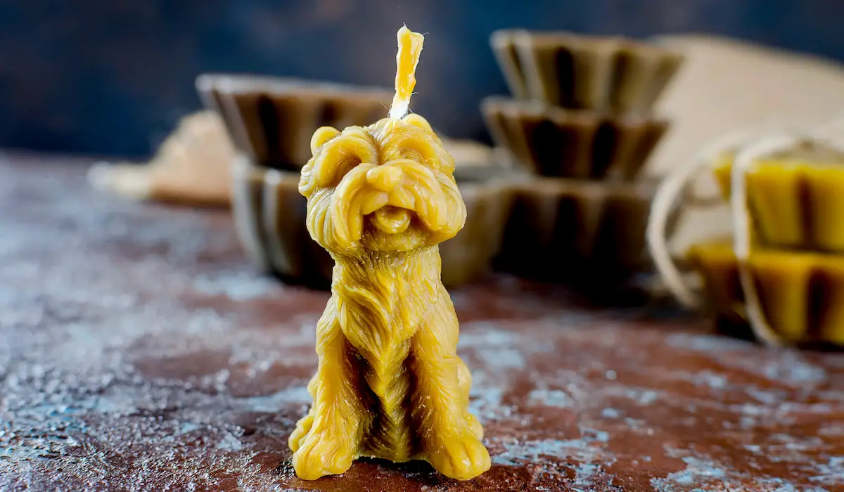 Soy vs. Beeswax Candles Bee Real Honey