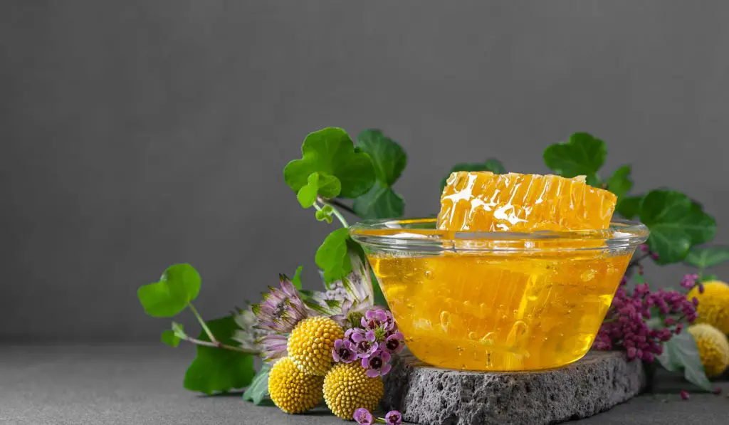 honeycomb and wildflower honey in a bowl 