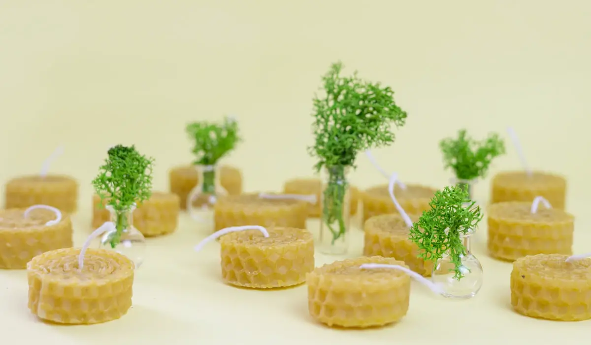 Soy vs. Beeswax Candles Bee Real Honey
